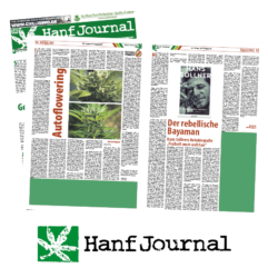 Small Format Subscription in Hanfjournal